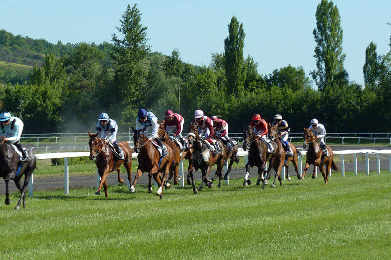 Horse Race